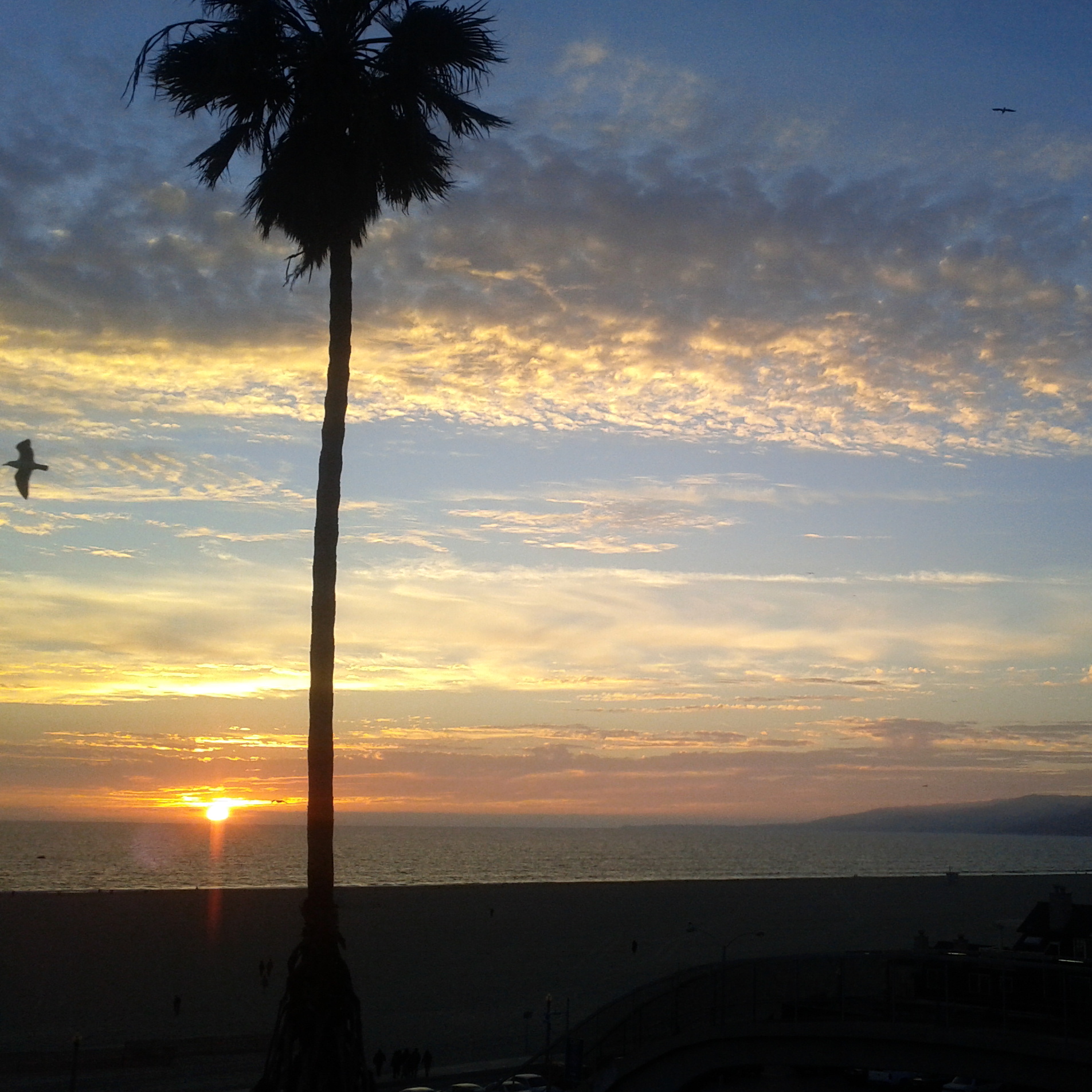 Santa Monica | November 2012 \sunset/